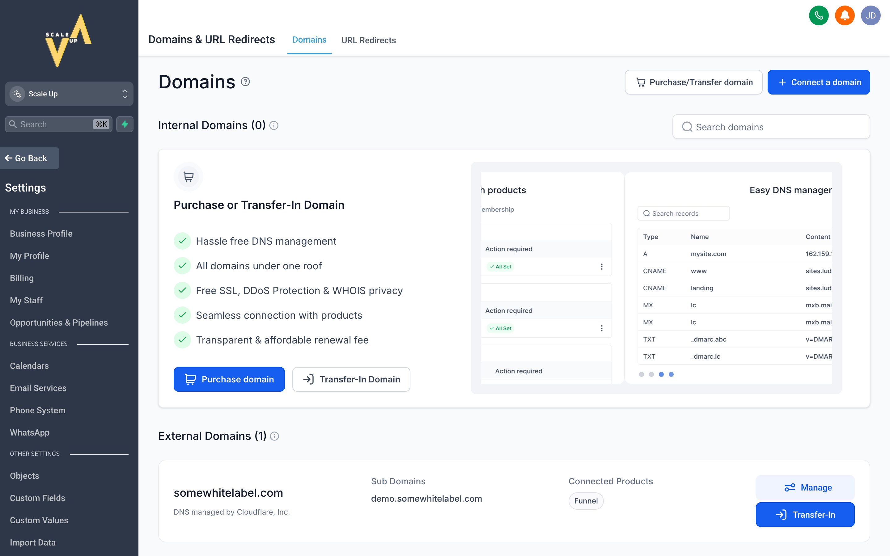 The Domains settings page showing a custom domain connected to the account with SSL status and assignment options